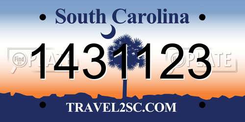 1431123 South Carolina License Plate