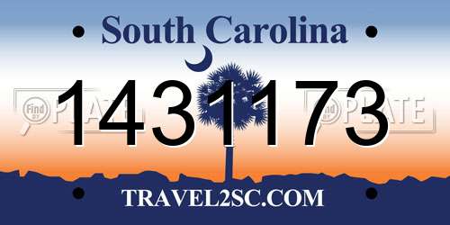 1431173 South Carolina License Plate