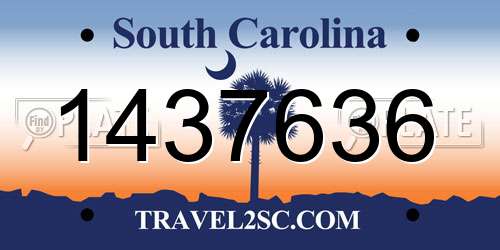 1437636 South Carolina License Plate