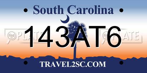 143AT6 South Carolina License Plate