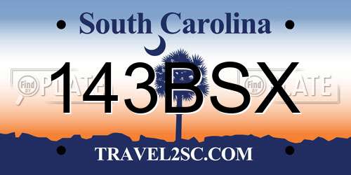 143BSX South Carolina License Plate