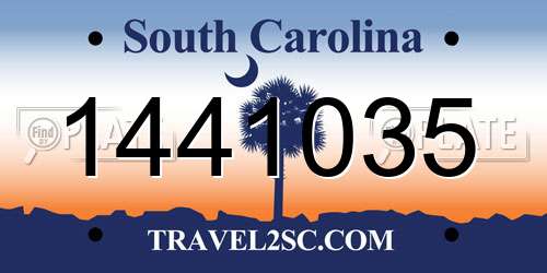 1441035 South Carolina License Plate