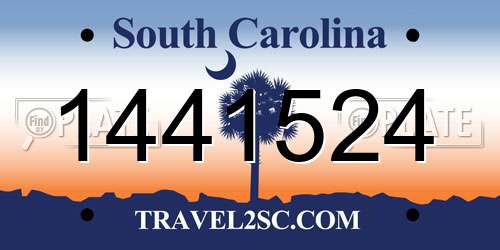 1441524 South Carolina License Plate