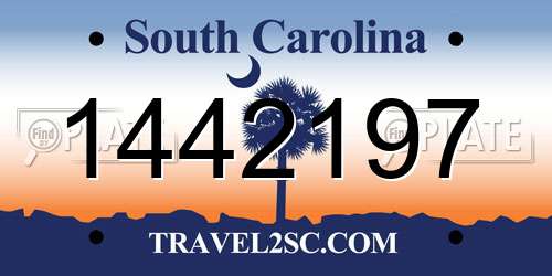 1442197 South Carolina License Plate