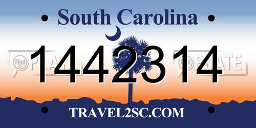 1442314 South Carolina License Plate