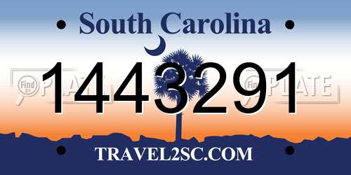 1443291 South Carolina License Plate