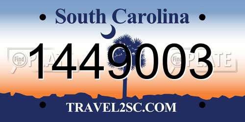 1449003 South Carolina License Plate