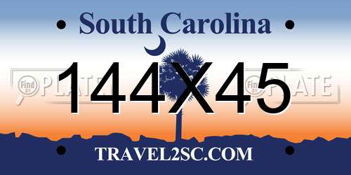 144X45 South Carolina License Plate