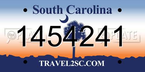1454241 South Carolina License Plate
