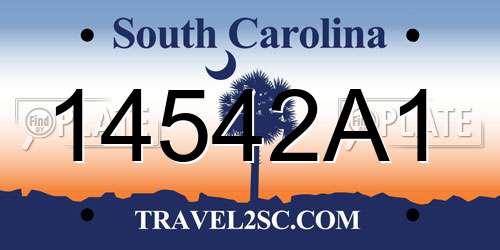 14542A1 South Carolina License Plate