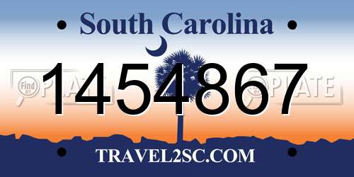 1454867 South Carolina License Plate