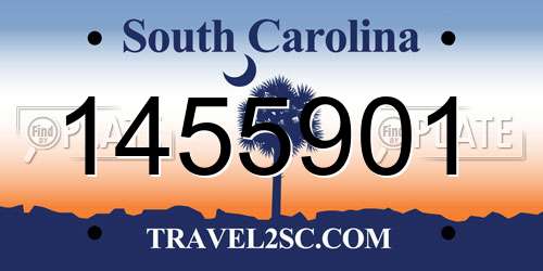 1455901 South Carolina License Plate