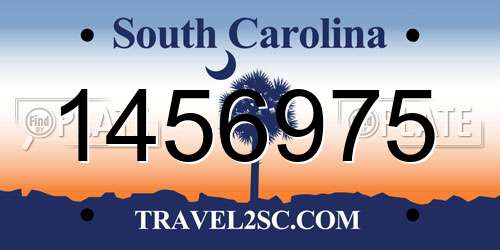 1456975 South Carolina License Plate