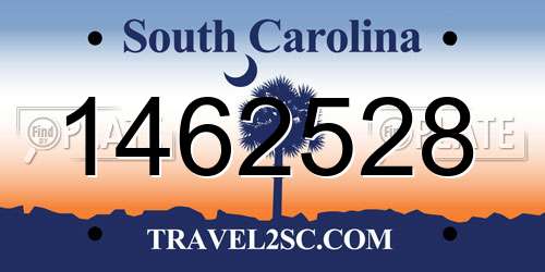 1462528 South Carolina License Plate