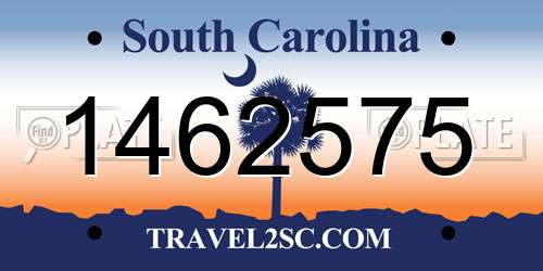 1462575 South Carolina License Plate