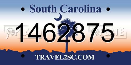 1462875 South Carolina License Plate