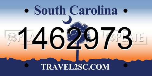 1462973 South Carolina License Plate