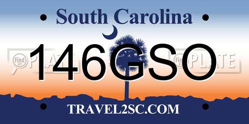 146GSO South Carolina License Plate
