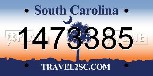 1473385 South Carolina License Plate