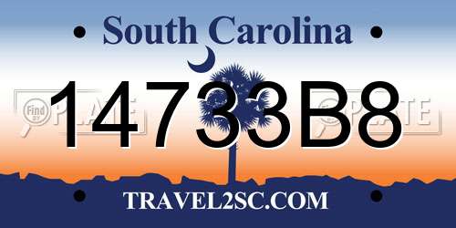14733B8 South Carolina License Plate