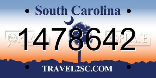1478642 South Carolina License Plate
