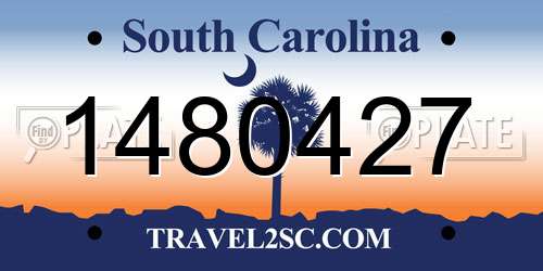 1480427 South Carolina License Plate