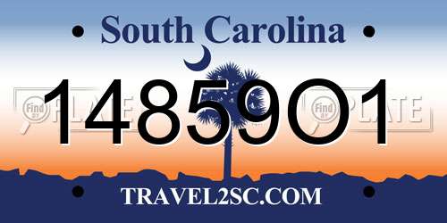 14859O1 South Carolina License Plate