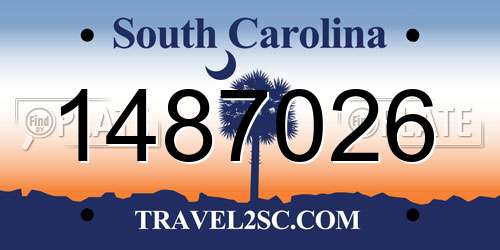 1487026 South Carolina License Plate