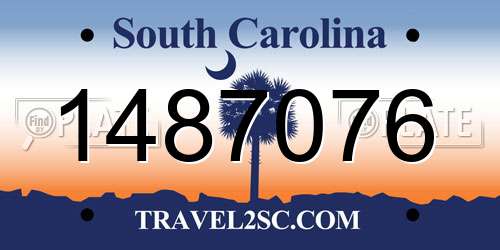 1487076 South Carolina License Plate