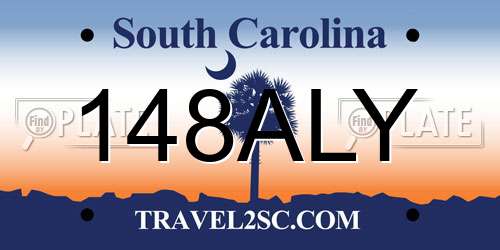 148ALY South Carolina License Plate