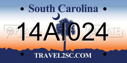 14AI024 South Carolina License Plate