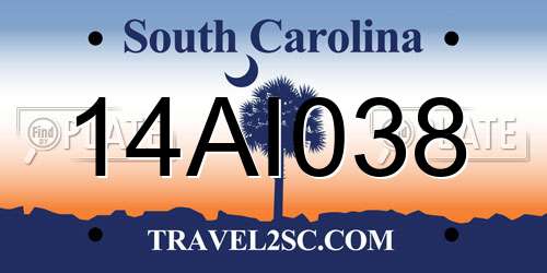 14AI038 South Carolina License Plate