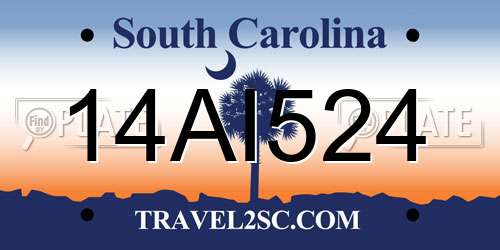 14AI524 South Carolina License Plate