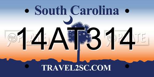 14AT314 South Carolina License Plate