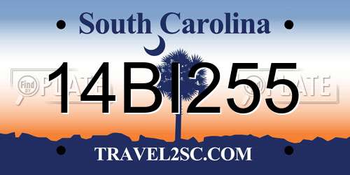 14BI255 South Carolina License Plate