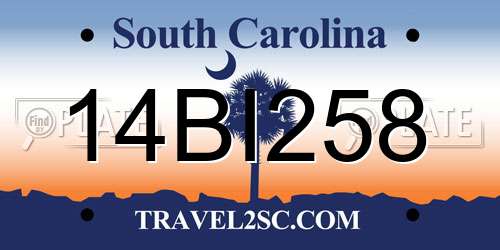14BI258 South Carolina License Plate