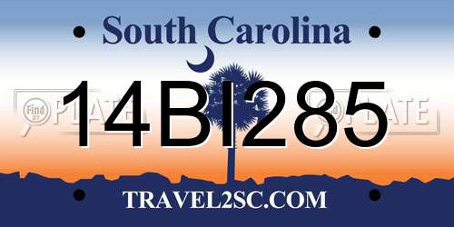 14BI285 South Carolina License Plate