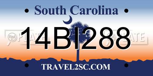 14BI288 South Carolina License Plate
