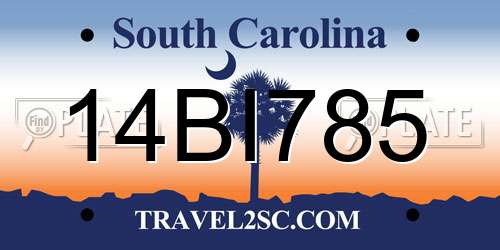 14BI785 South Carolina License Plate