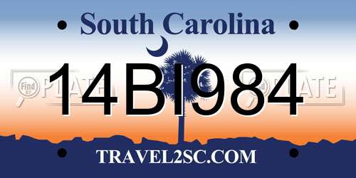 14BI984 South Carolina License Plate