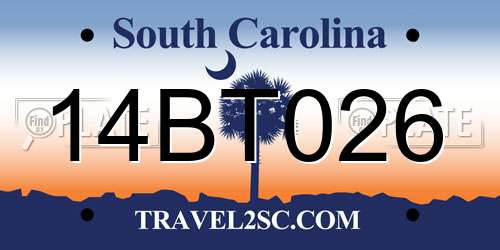 14BT026 South Carolina License Plate