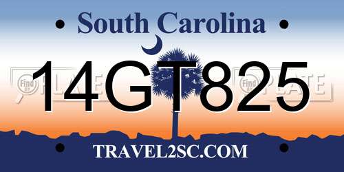 14GT825 South Carolina License Plate