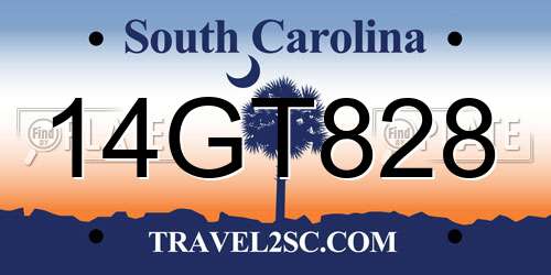 14GT828 South Carolina License Plate