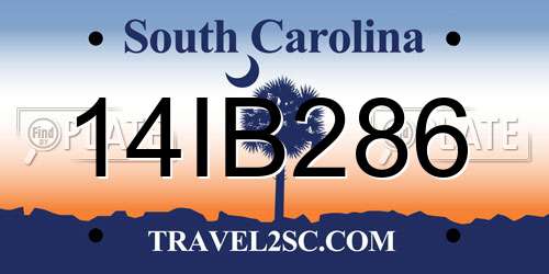 14IB286 South Carolina License Plate