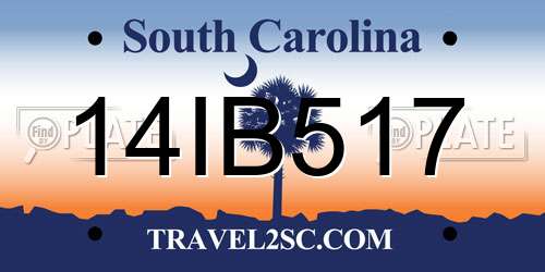 14IB517 South Carolina License Plate