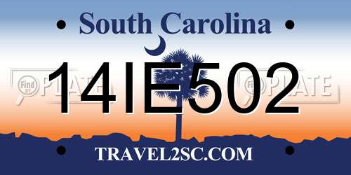 14IE502 South Carolina License Plate
