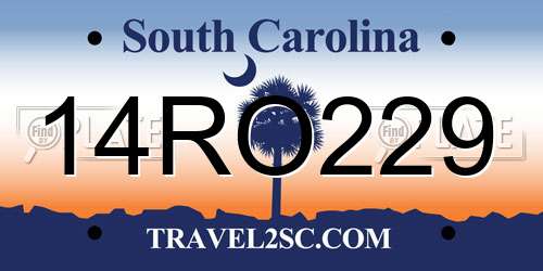 14RO229 South Carolina License Plate