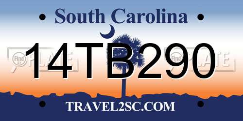 14TB290 South Carolina License Plate