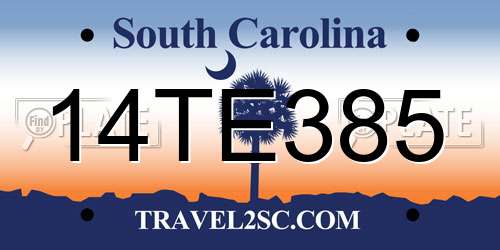 14TE385 South Carolina License Plate