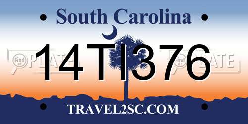14TI376 South Carolina License Plate